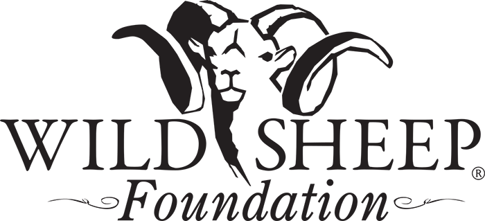 the Wild Sheep Foundation